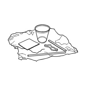 Solids and Liquids 